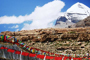 Dugkar Prayer Flags in the foothills of Mt. Kailash hoisted by H.E. Lhochen Rinpoche.